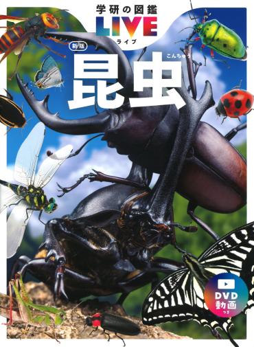 【購入特典フィギュア付き】学研の図鑑ＬＩＶＥ１　昆虫　新版