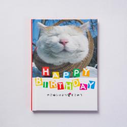 お誕生日　メッセージブック（ＢＤ）（かご猫）